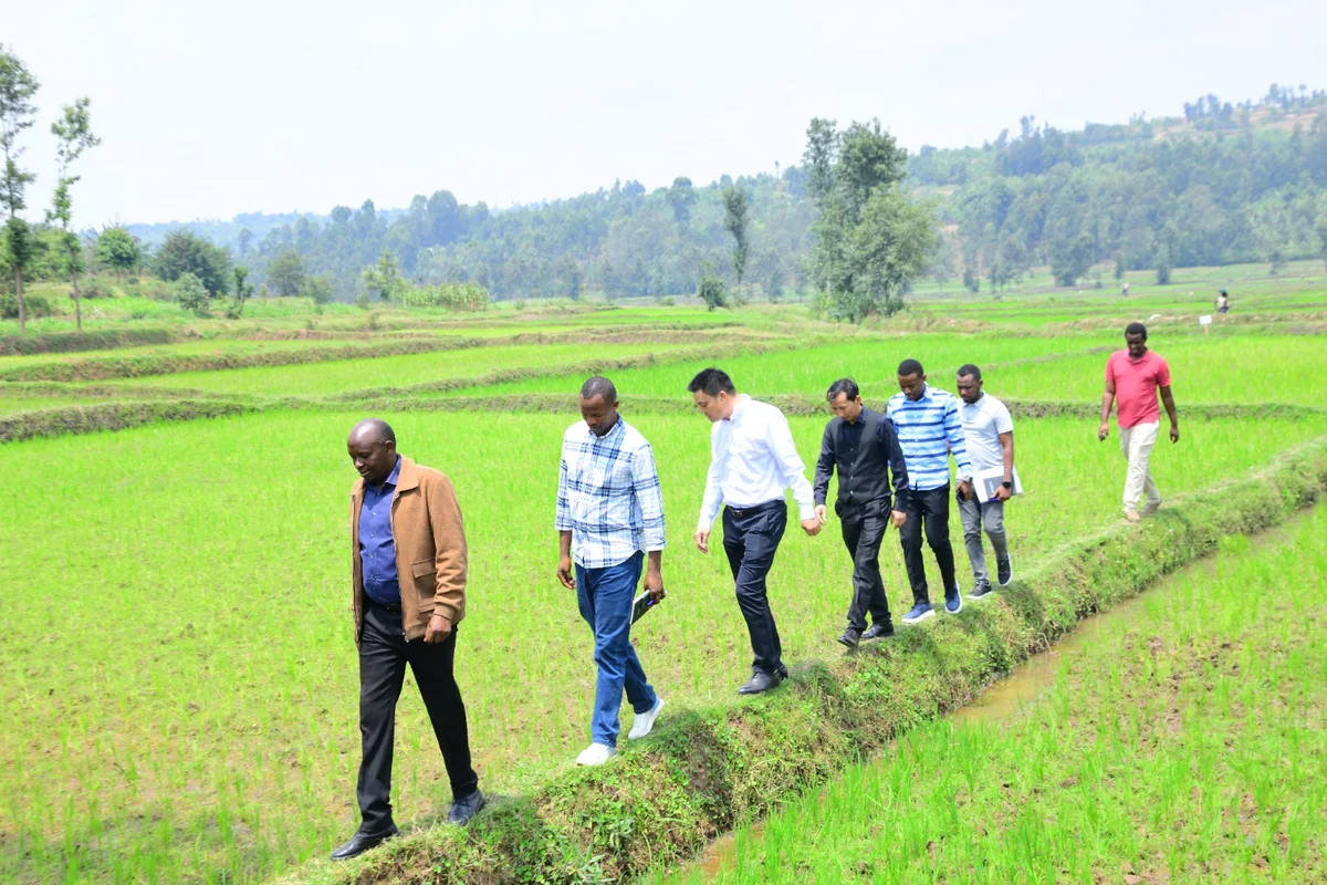Muhanga field visit · August 2025