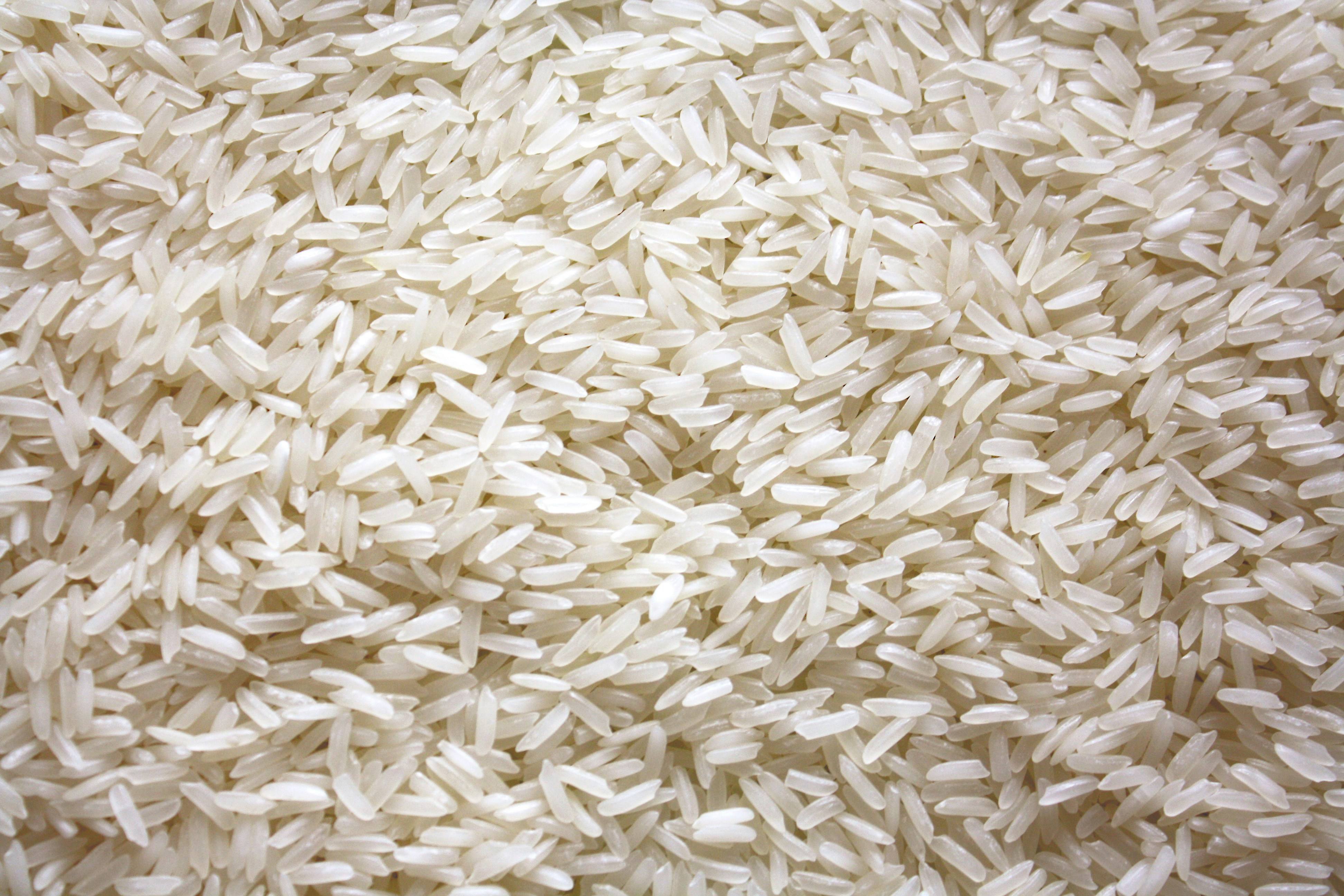 Processed rice