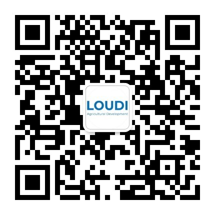 娄氐农业 WeChat official account QR code